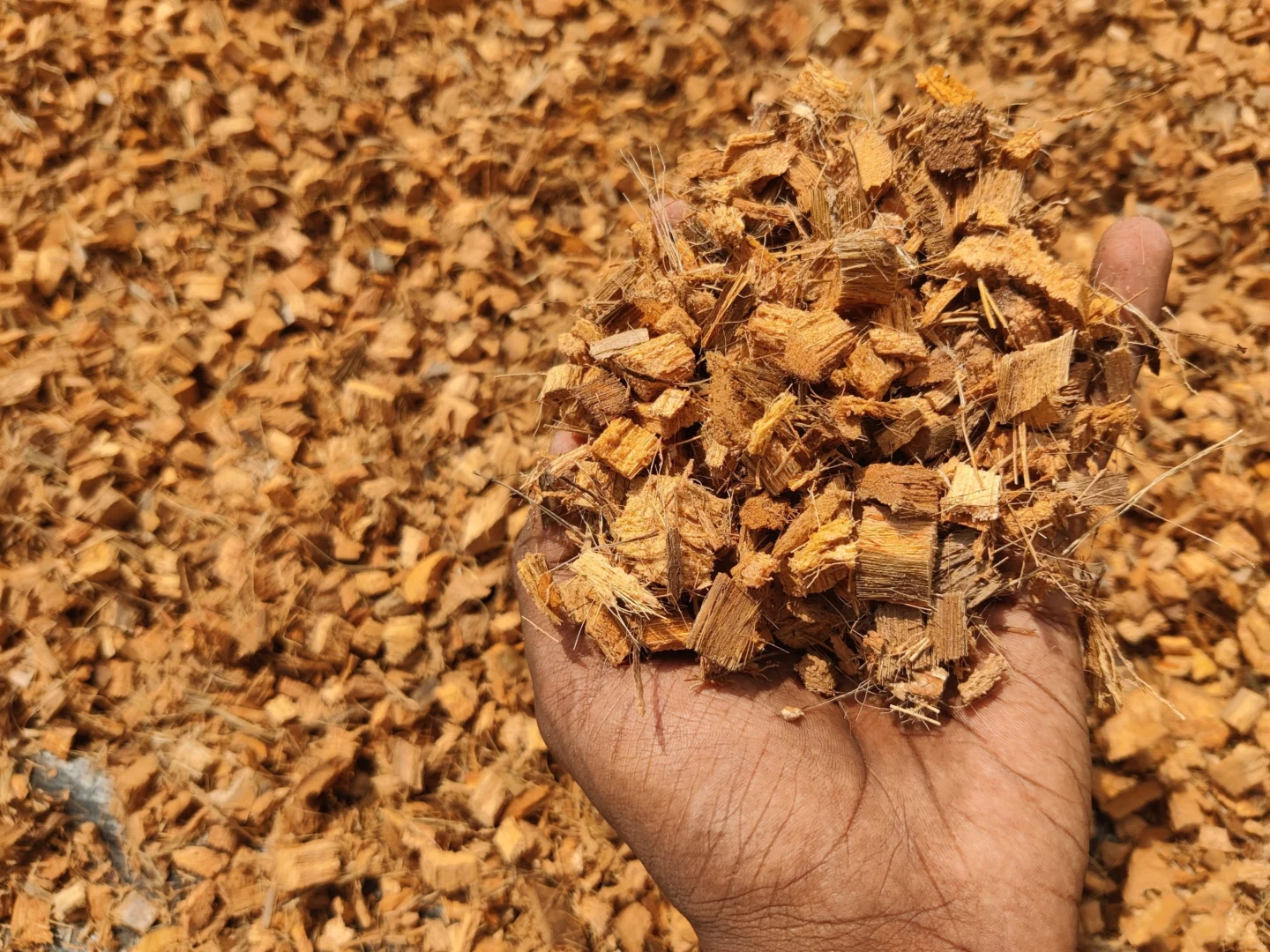 Warehouse Ontario stock