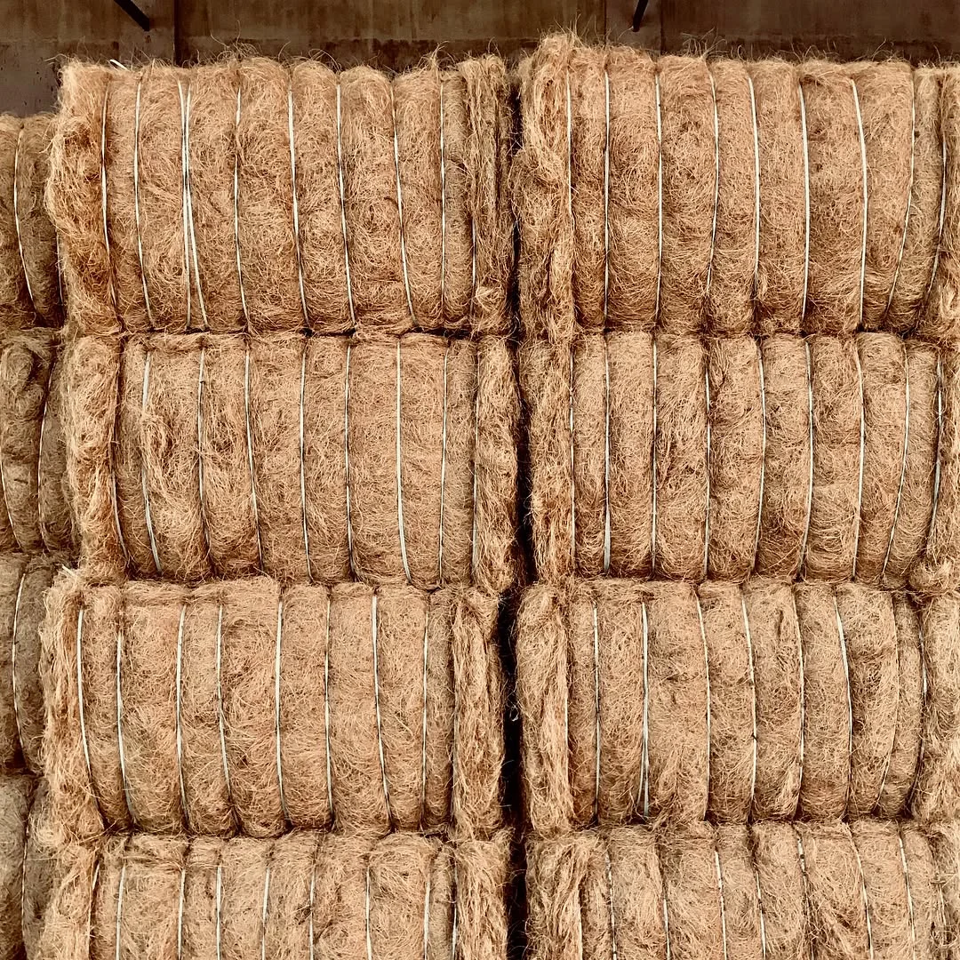 Jumbo coco coir bale Canada — commercial wholesale bulk coco peat