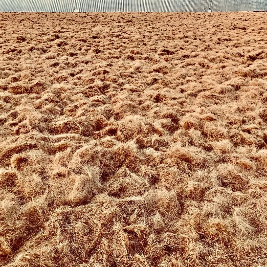 Bale substrate texture