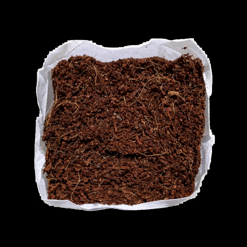 Coco coir grow bags for greenhouse tomatoes — Leamington Ontario Canada USA