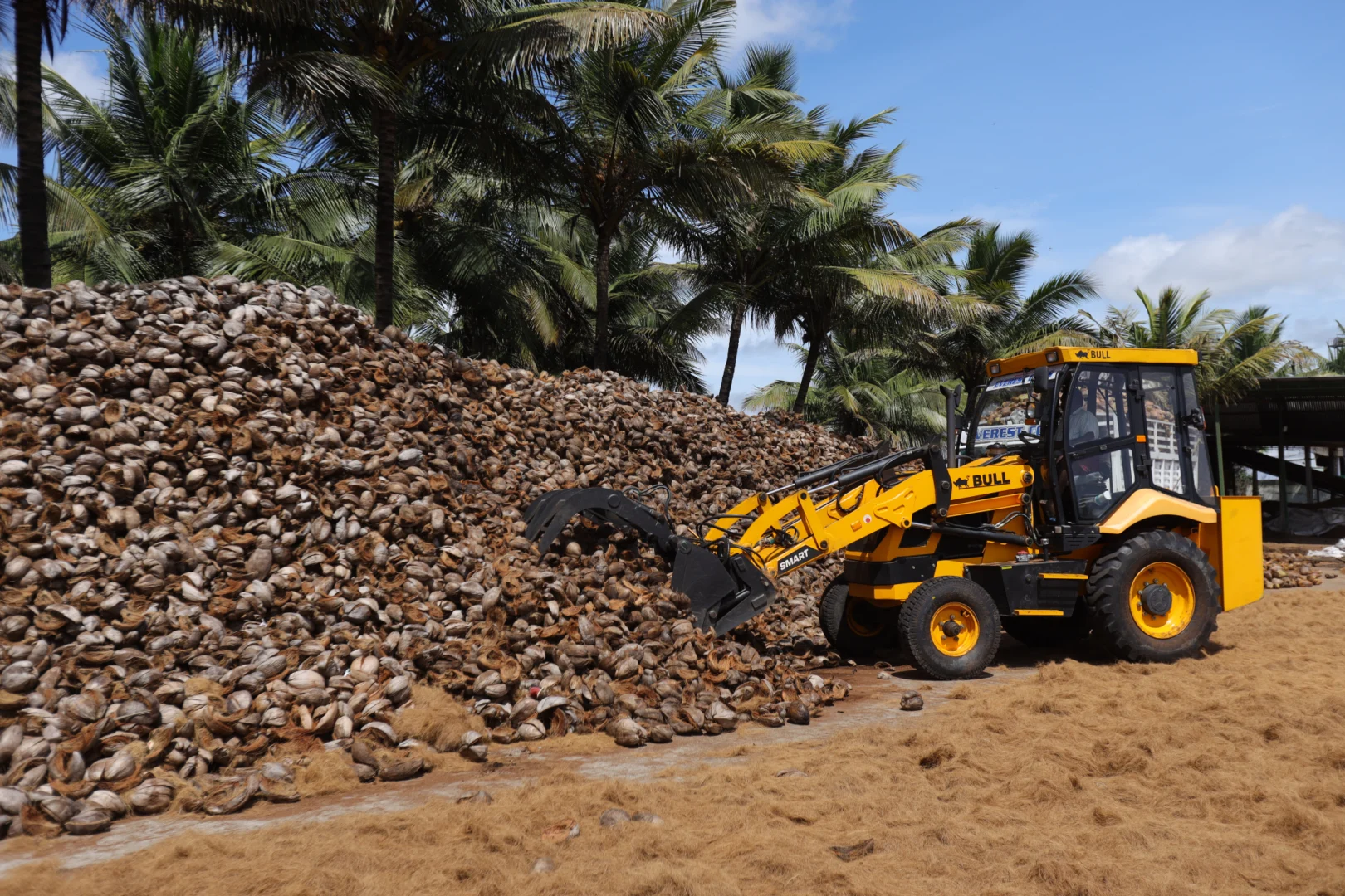 Avee Cocoseller coco coir supplier Canada — second-generation family manufacturer Tamil Nadu to Ontario