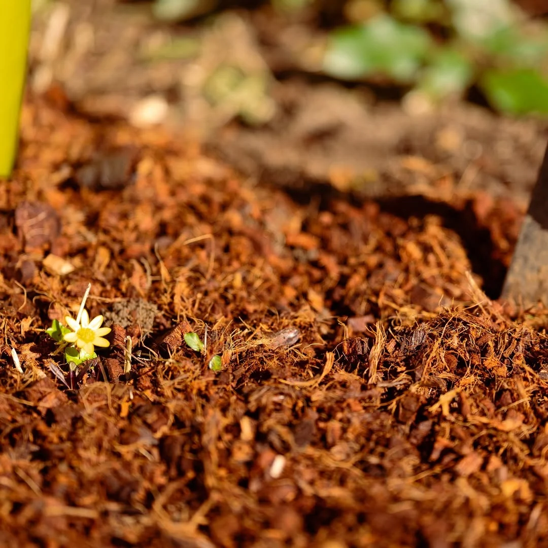 Coir substrate close up
