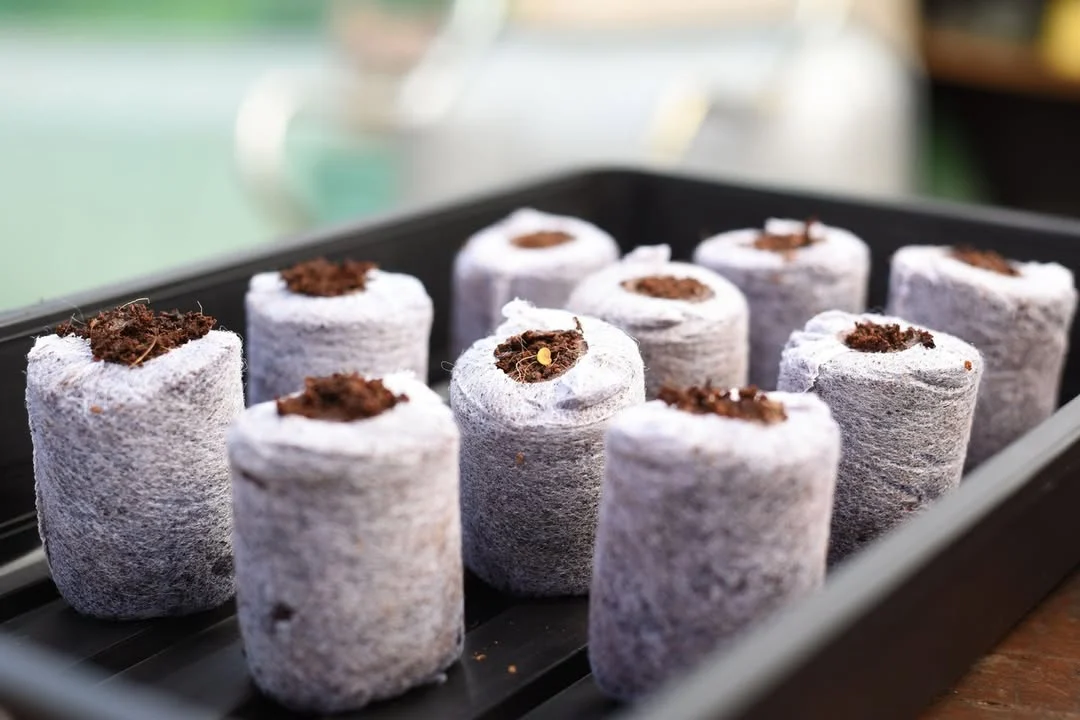 Coco coir seed starter pellets Canada — bulk wholesale