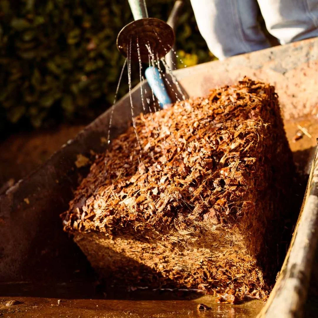 Coco husk chips for raised bed field strawberries — Canada USA Oregon California