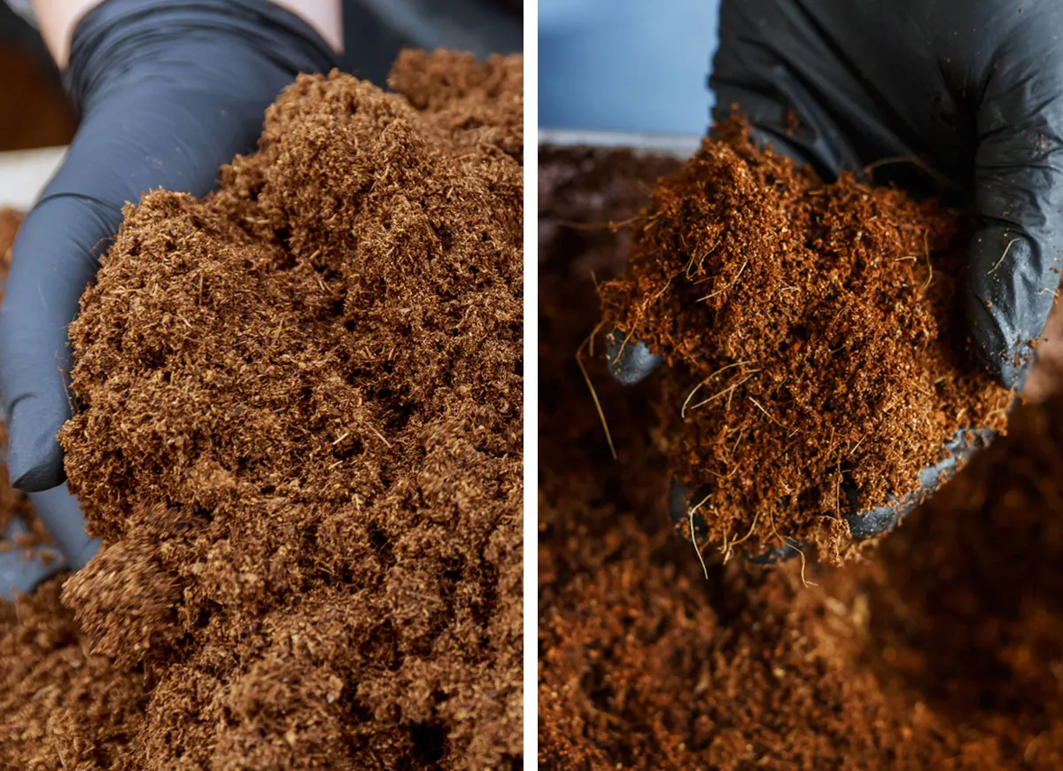 Coco coir vs peat moss comparison for Canadian commercial growers